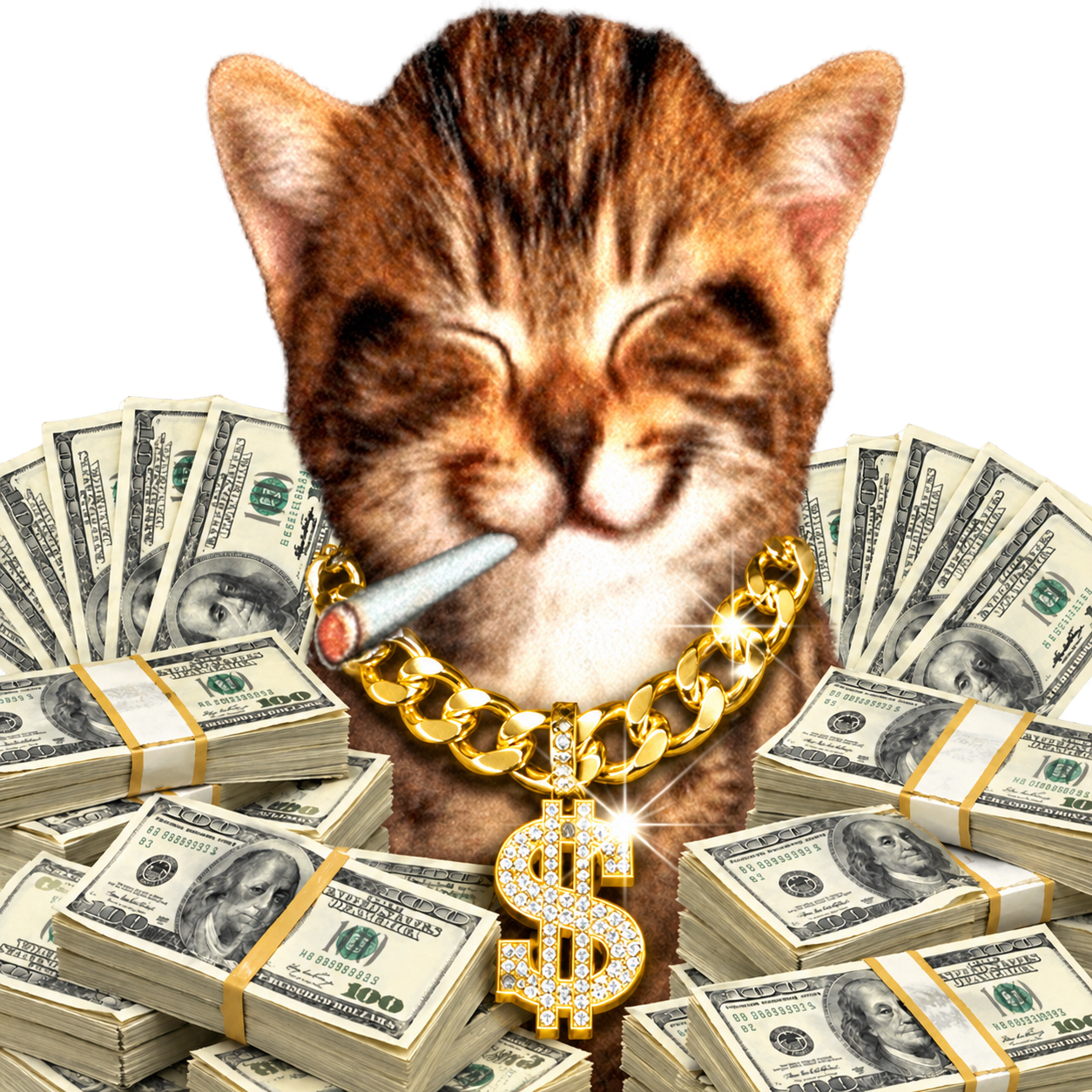 Smoking cat wearing a gold chain surrounded by cash